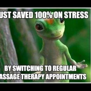 Meet your Posher, Roberta